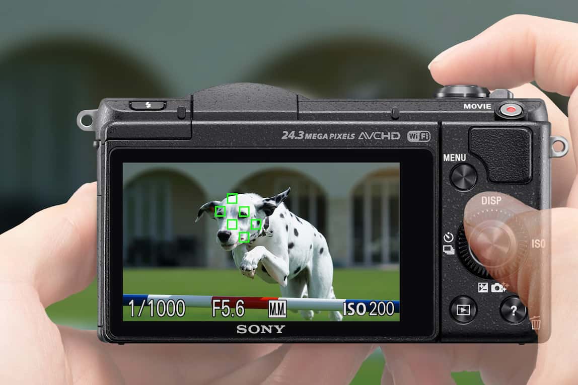 1caaa757fd11dcdeccc8225f73e7ef
