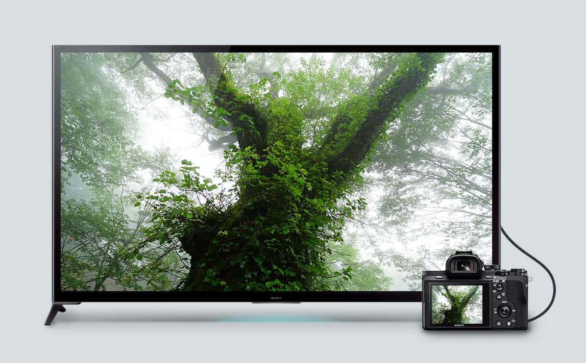 Full-frame camera with 5-axis image stabilization | ILCE-7M2