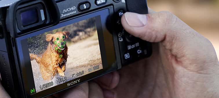ILCE-6000L / ILCE-6000Y Specifications | Cameras | Sony Africa